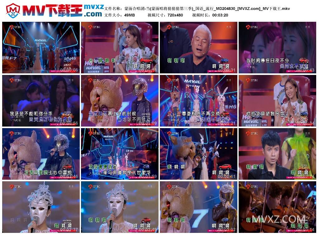 蒙面合唱团-当(蒙面唱将猜猜猜第三季)_国语_流行_MD204830